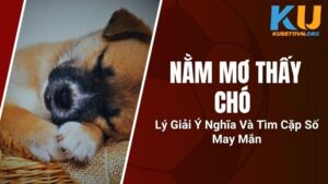 Nằm Mơ Thấy Chó - Lý Giải Ý Nghĩa Và Tìm Cặp Số May Mắn
