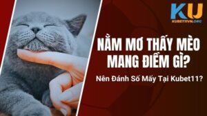 Nằm Mơ Thấy Mèo Mang Điềm Gì? Nên Đánh Số Mấy Tại Kubet11?