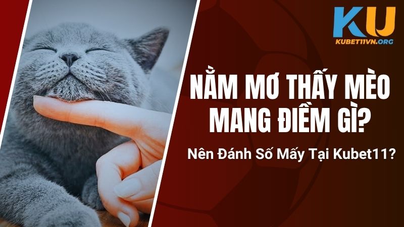 Nằm Mơ Thấy Mèo Mang Điềm Gì? Nên Đánh Số Mấy Tại Kubet11?