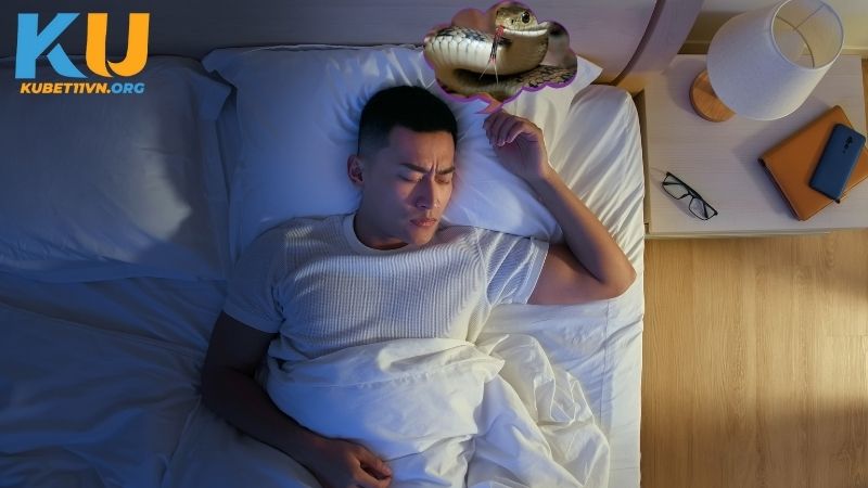 Nằm mơ thấy rắn dự báo điều tốt hay không may