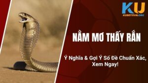 Nằm Mơ Thấy Rắn - Ý Nghĩa & Gợi Ý Số Đề Chuẩn Xác, Xem Ngay!