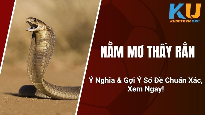 Nằm Mơ Thấy Rắn - Ý Nghĩa & Gợi Ý Số Đề Chuẩn Xác, Xem Ngay!